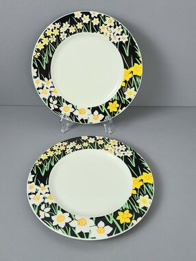 Mikasa Summer Night Joan Luntz Japan Bone China Vintage Plates- Set of Two